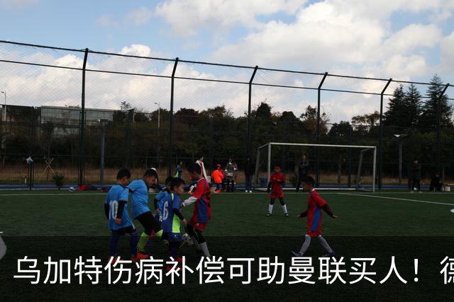 乌加特伤病补偿可助曼联买人！德国世界杯铁腰愿加盟，多特要价超一亿